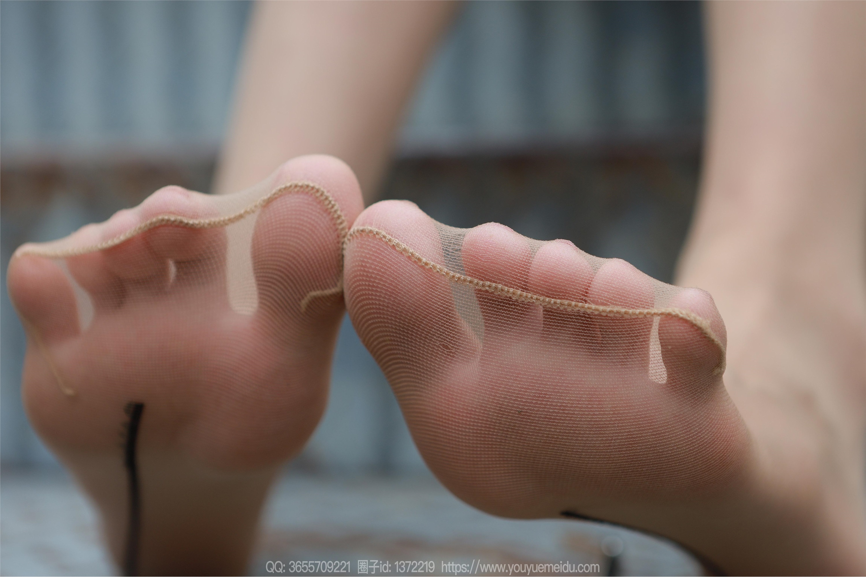 IESS异思趣向  2023.10.20 丝享家 1564 团团《美丽后竖线》